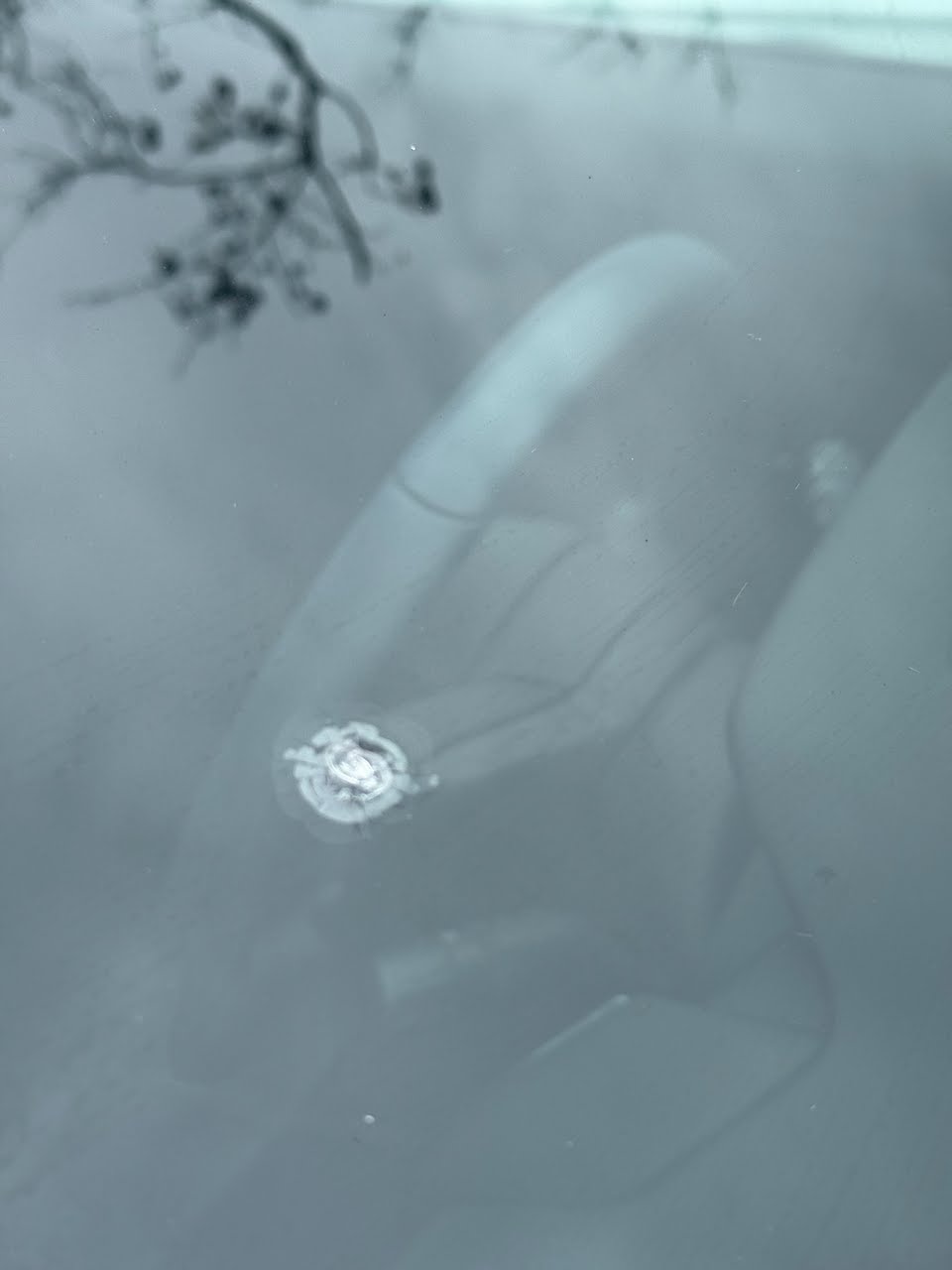 WhatsApp Image 2026 02 20 At 8.26.13 AM 6