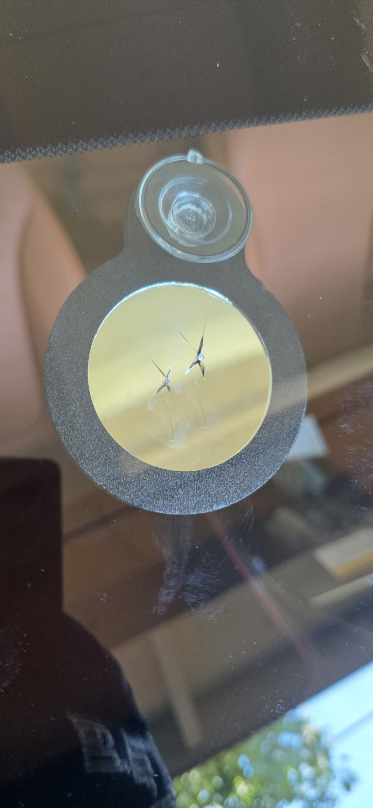 Inspecting a cured windshield chip repair through the glass